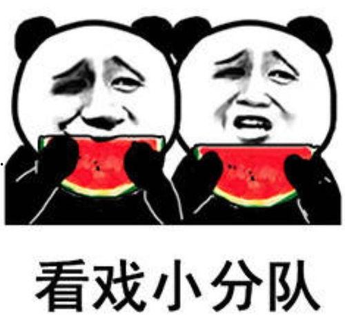 娱乐圈吃瓜表情包图片,揭秘明星幕后趣闻 第1张 娱乐圈吃瓜表情包图片,揭秘明星幕后趣闻 第1张