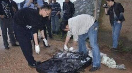 海丰小偷爆料案件最新进展,揭秘案情细节与警方调查动态