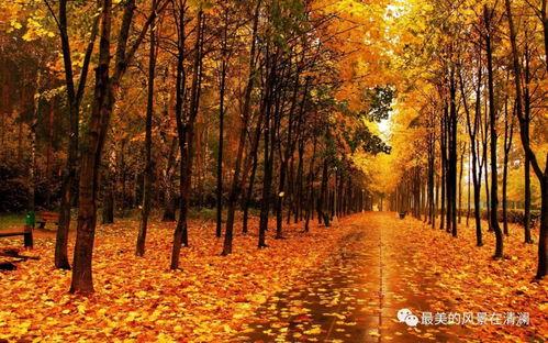 秋天妈妈最新视频爆料大全,精彩瞬间大盘点  第2张