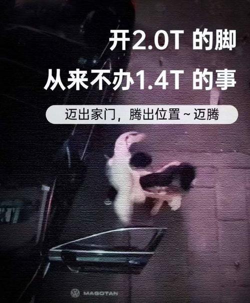 爆料视频打架是真的吗